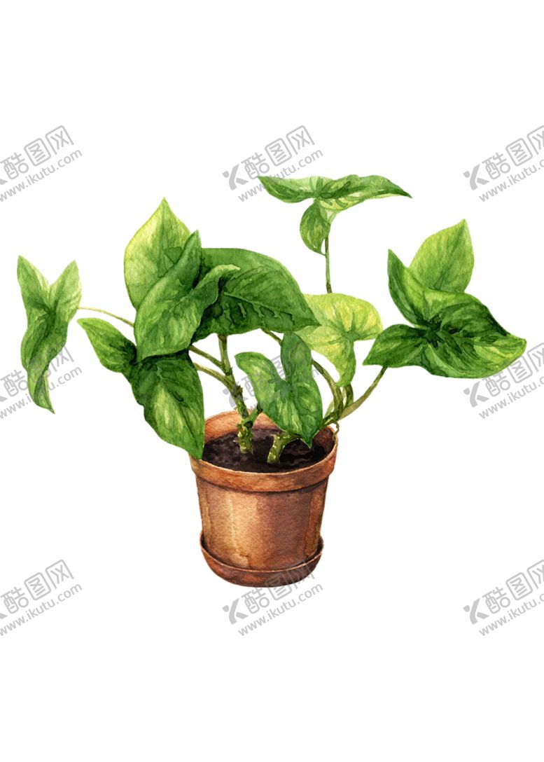 编号：19517905161653447672【酷图网】源文件下载-植物装饰画