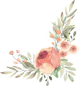 水彩花朵