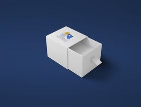 文创样机国潮高端中式国粹