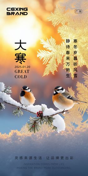 大寒海报意境简约二十四节气