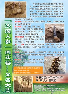 沙漠人参彩页