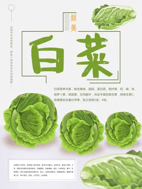 白菜大图片大文化蔬饮食蔬食堂