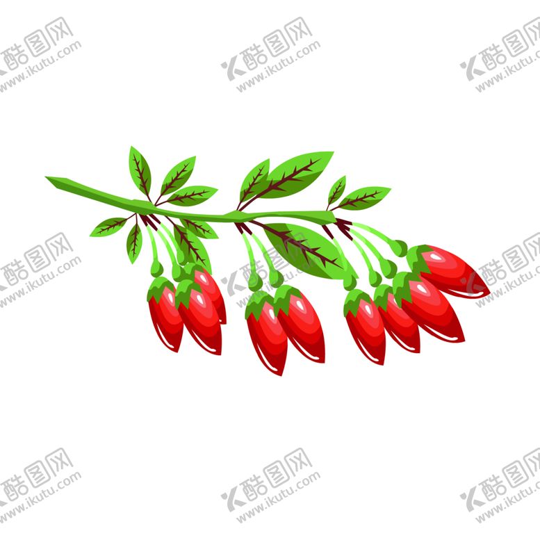 编号：35335710271233461628【酷图网】源文件下载-手绘枸杞
