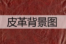 编号：89072509230009267501【酷图网】源文件下载-皮革效果图logo样机金色