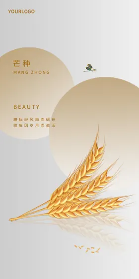 芒种
