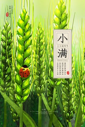 小满