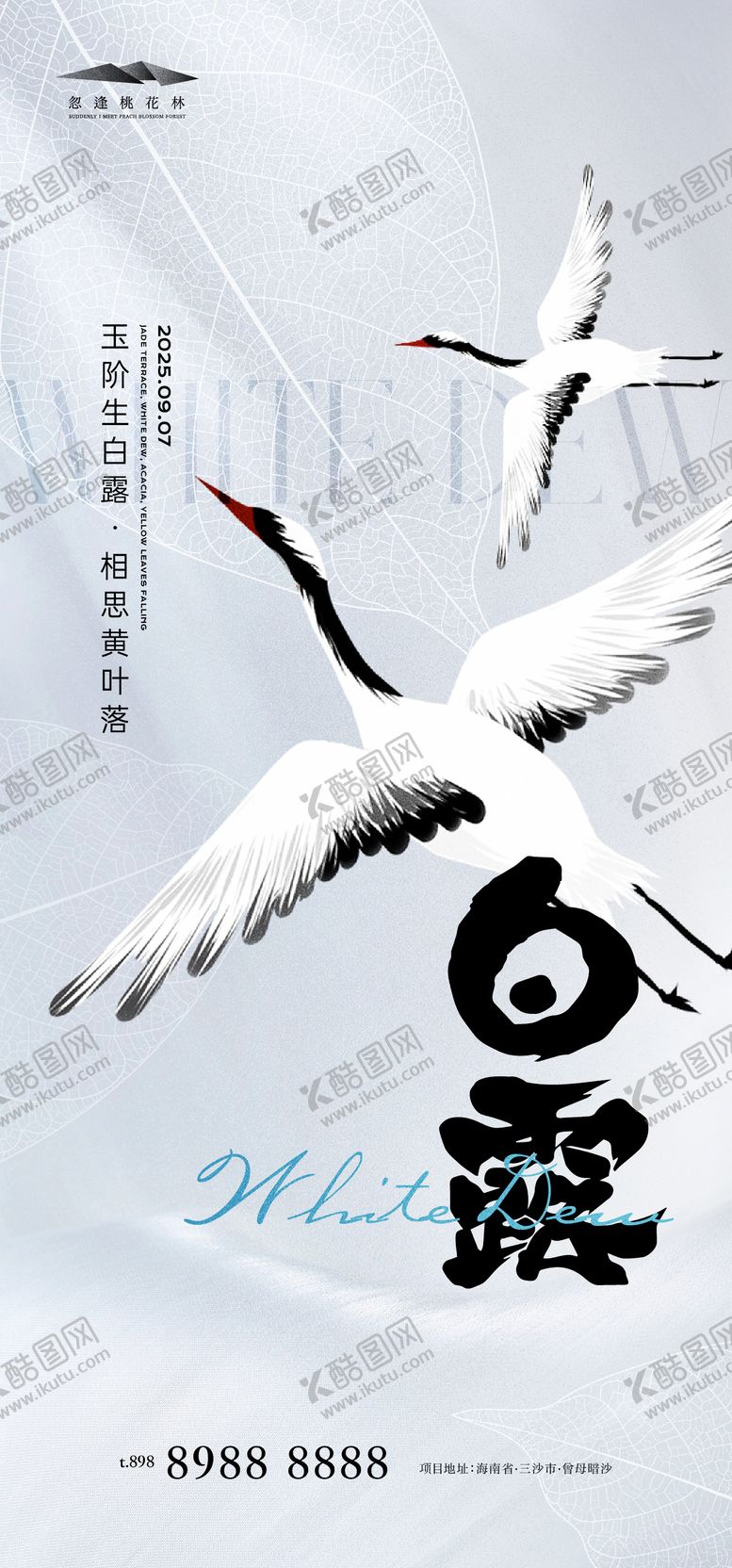 编号：83007809061545225793【酷图网】源文件下载-白露海报