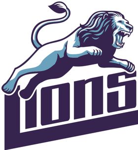 狮子Lion涂鸦动物