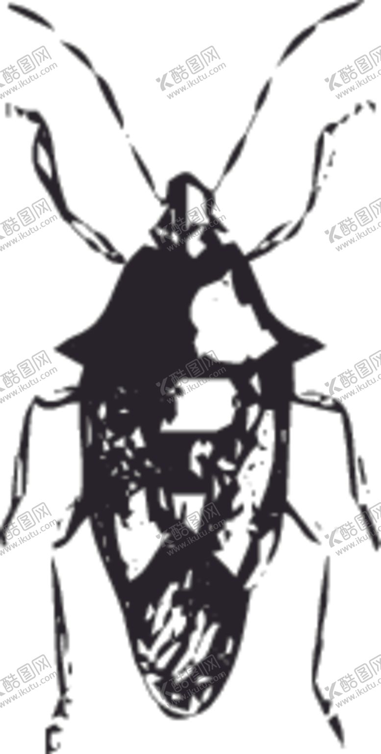 编号：77872909180134207381【酷图网】源文件下载-自然昆虫标本插画