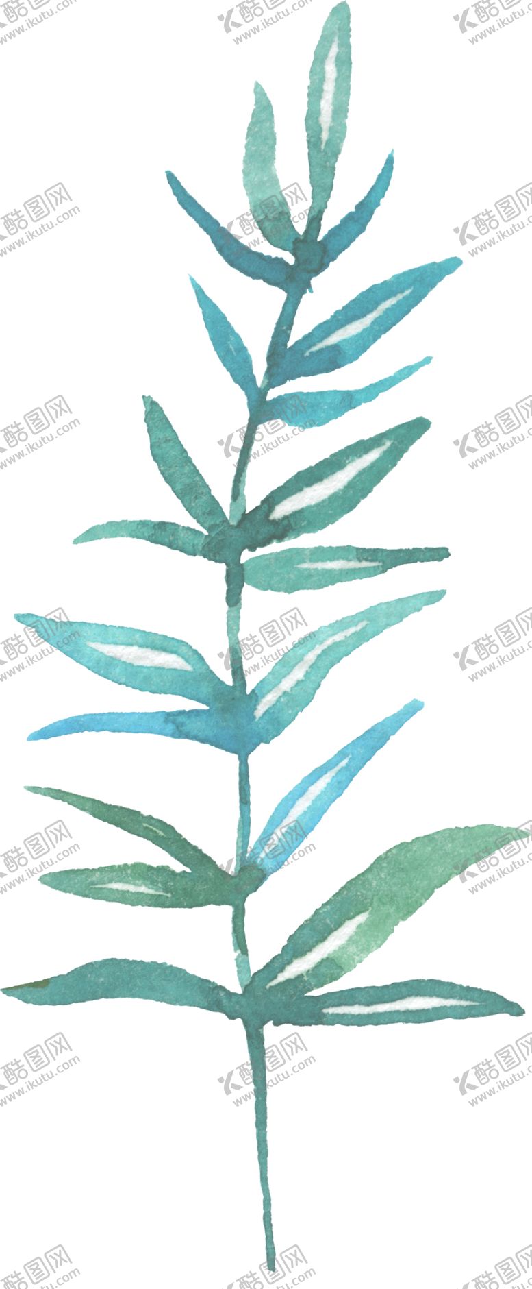 编号：26512705030844118366【酷图网】源文件下载-水彩手绘花卉花朵植物