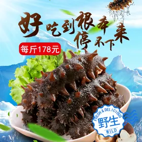 食品主图展台系统淘宝界面设计直通车模板