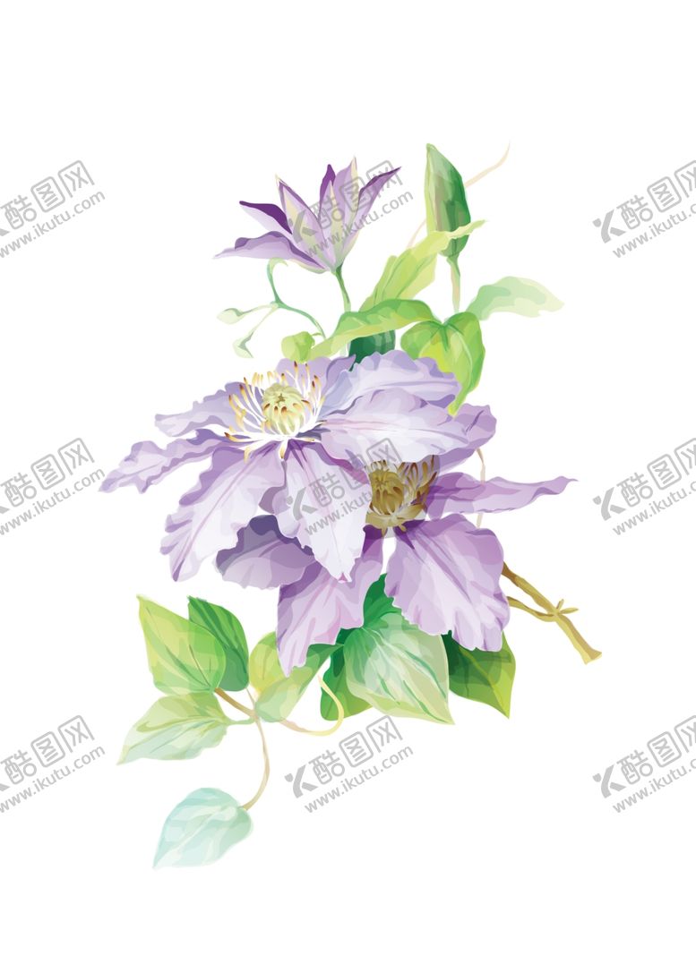 编号：94767205172017335420【酷图网】源文件下载-植物装饰画