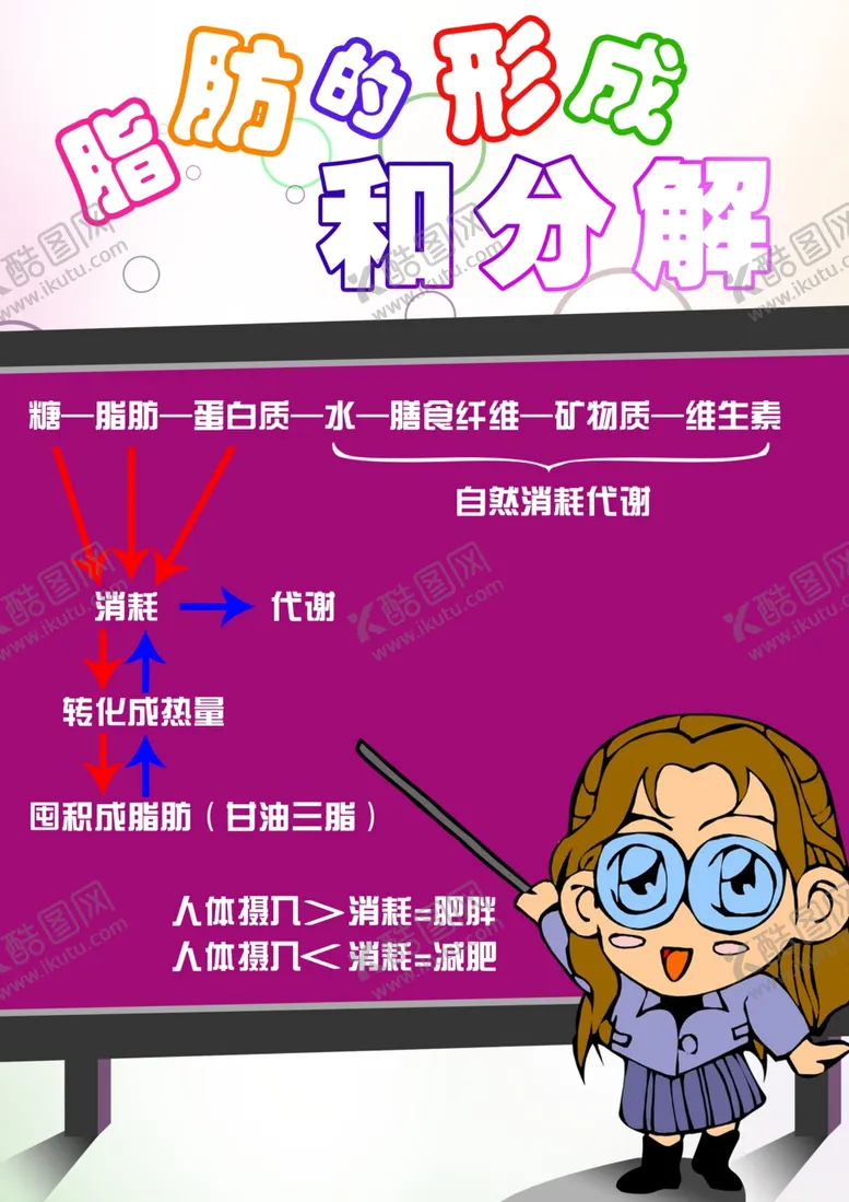 编号：45876407020725161715【酷图网】源文件下载-瘦邦纤体脂肪形成和分解
