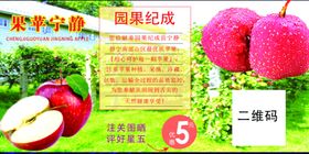 苹果宣传彩页