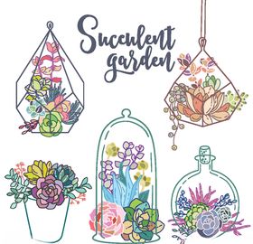 鲜花