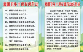 爱国卫生专项行动