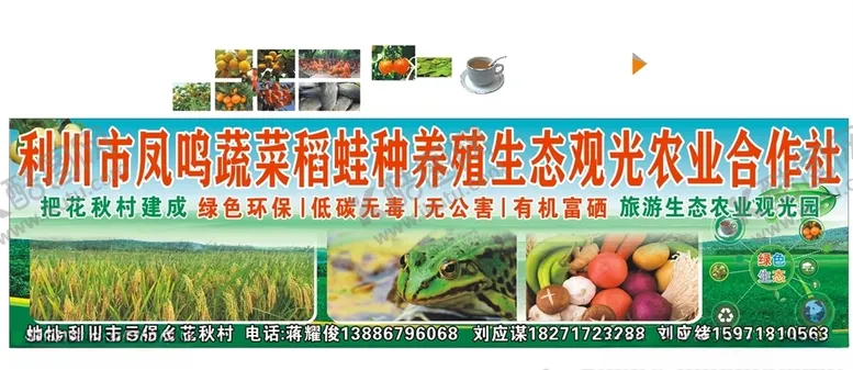 编号：52459405130543312478【酷图网】源文件下载-利川市凤鸣蔬菜种养殖生态观光农