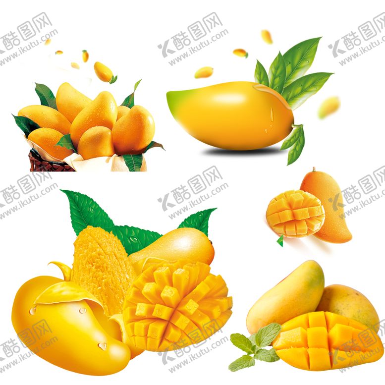 编号：75329303250107173306【酷图网】源文件下载-芒果