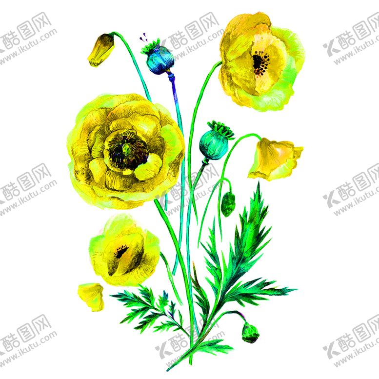 编号：79930210120532017736【酷图网】源文件下载-花素材