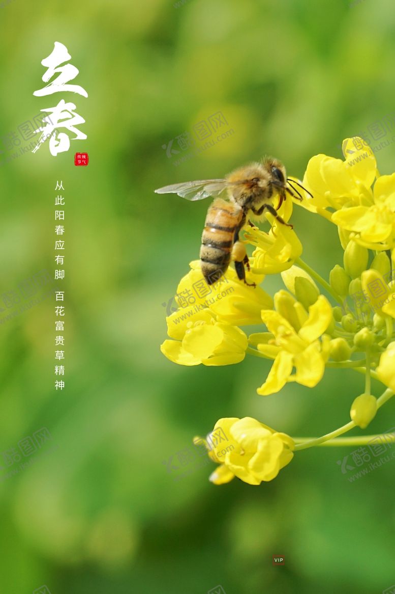 编号：38904205041913261349【酷图网】源文件下载-立春