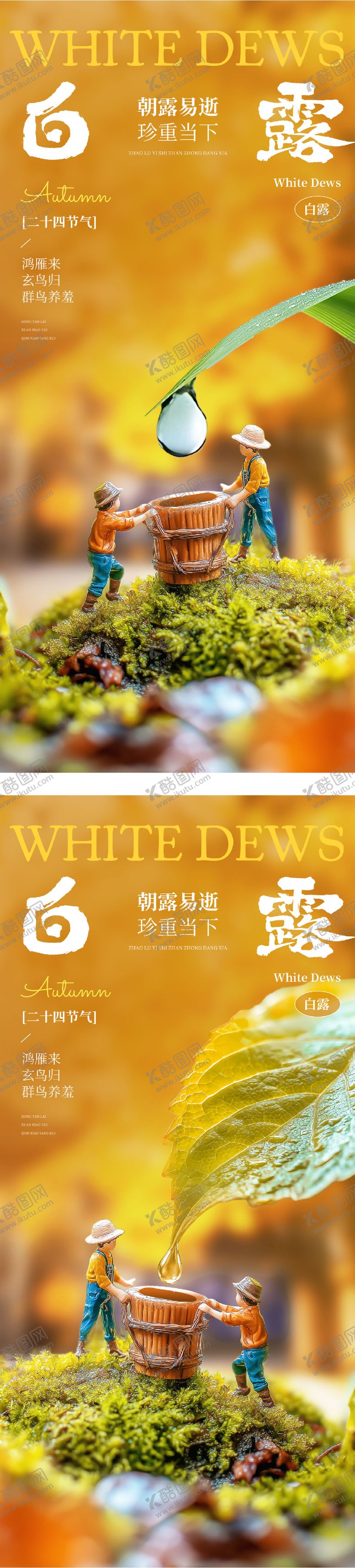 编号：48388709080746277431【酷图网】源文件下载-地产白露芦苇风景节气海报