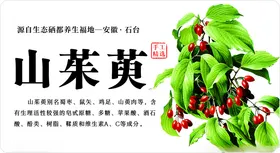 中草药标签