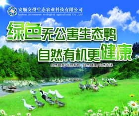 生态鸭