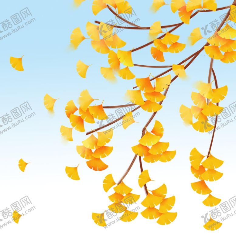 编号：59436212090127288481【酷图网】源文件下载- 银杏树
