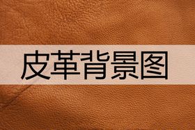 皮革logo样机