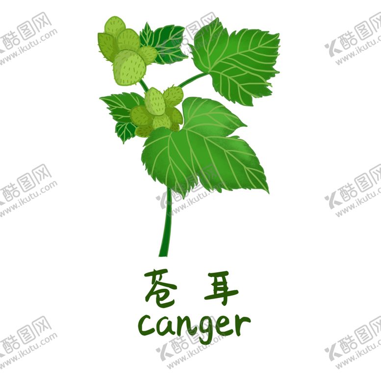 编号：68247104141539133497【酷图网】源文件下载-草本植物药材