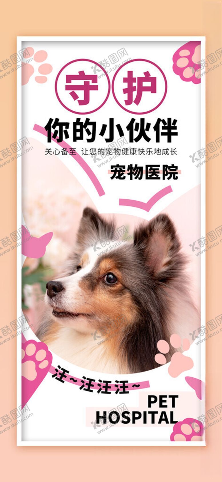 编号：74379901260246263873【酷图网】源文件下载-宠物海报