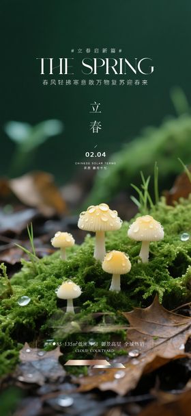 地产立春节气海报