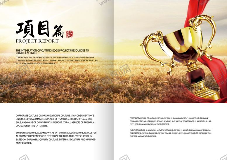 编号：50062810100706261001【酷图网】源文件下载-企业画册