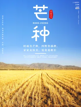 芒种画册宣传单灯片