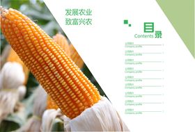 宣传册