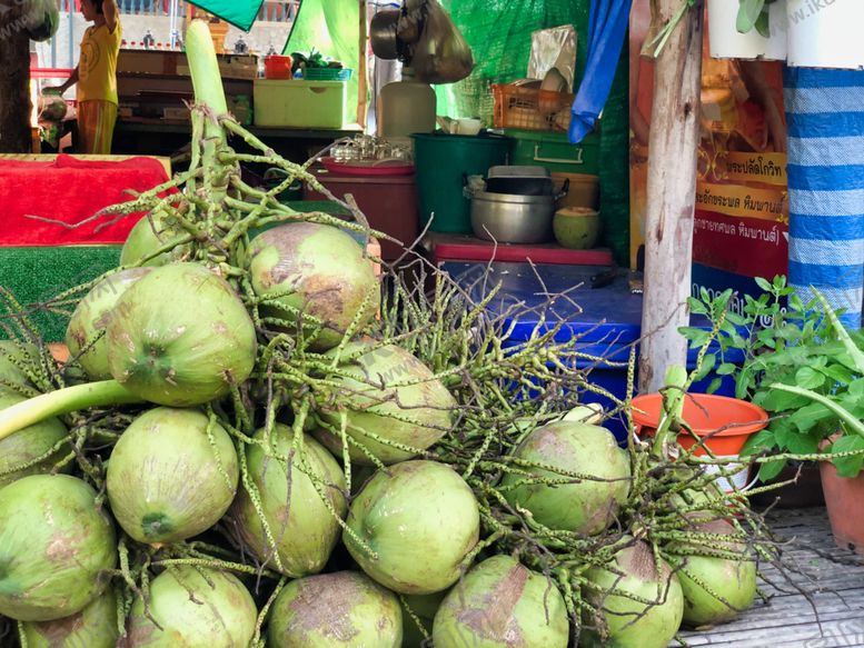 编号：18891910070620383424【酷图网】源文件下载-椰子