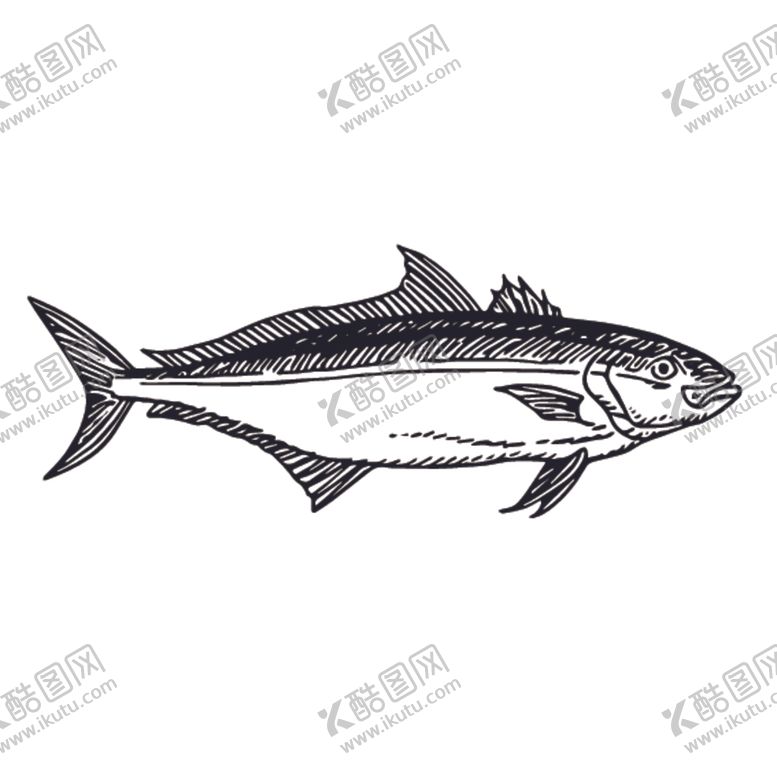编号：24512510201833309508【酷图网】源文件下载-海洋生物鱼类图案