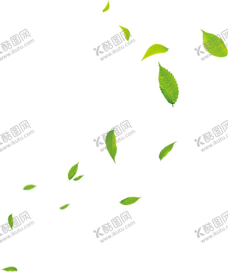编号：32080505040610089125【酷图网】源文件下载-树叶