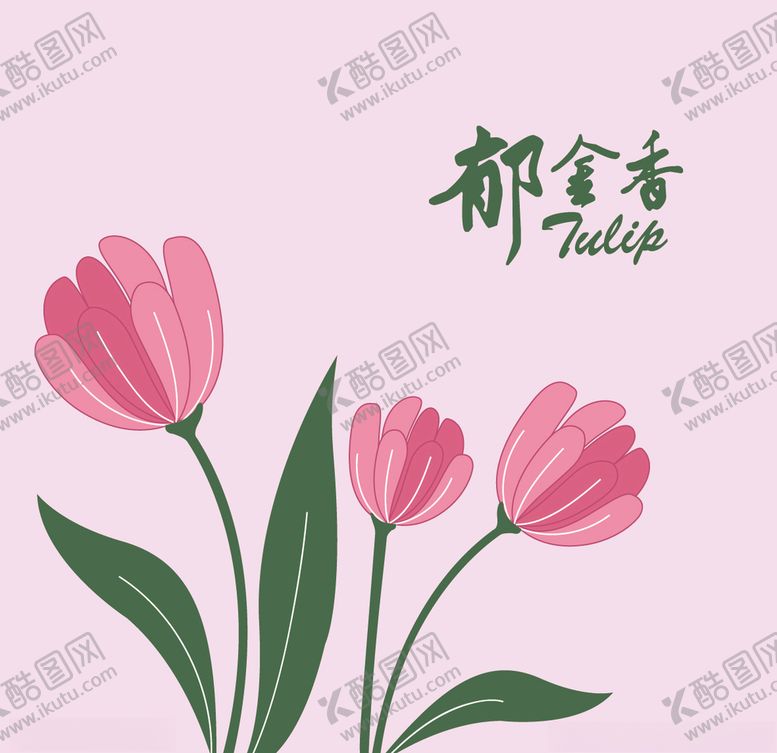 编号：72397210221352308179【酷图网】源文件下载-郁金香