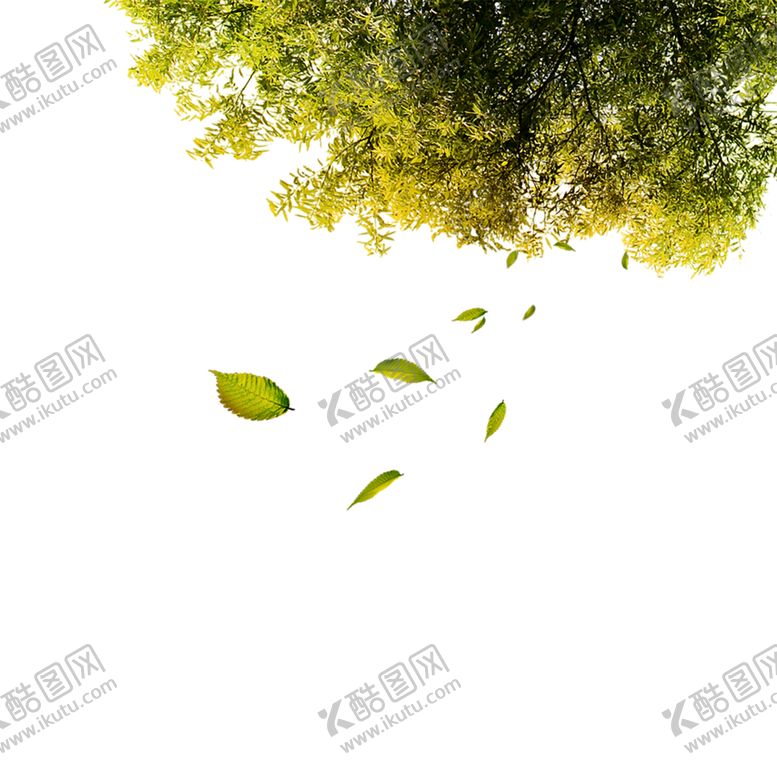 编号：37549409160029008640【酷图网】源文件下载-绿色装饰