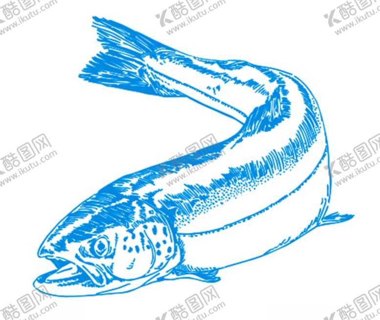 编号：17746905140356148220【酷图网】源文件下载-矢量鱼
