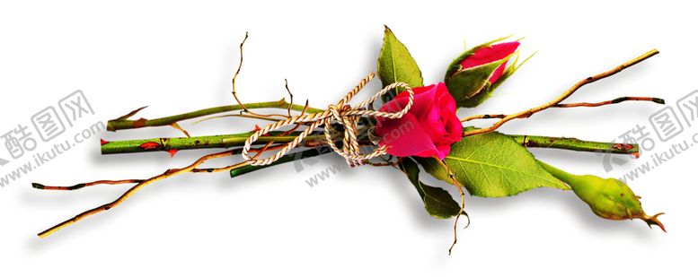 编号：81199409291247541173【酷图网】源文件下载-浪漫素材