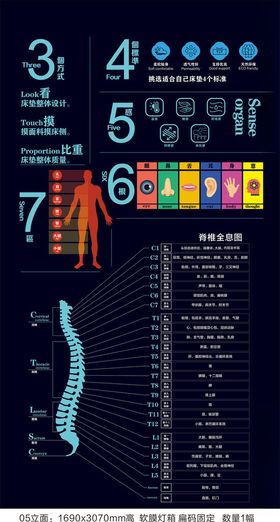脊椎全息科普