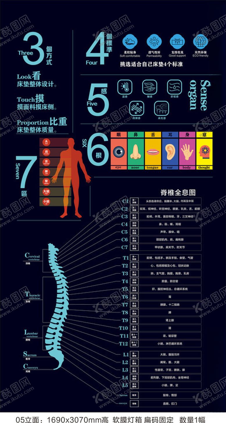 编号：84915709300318554901【酷图网】源文件下载-脊椎全息科普