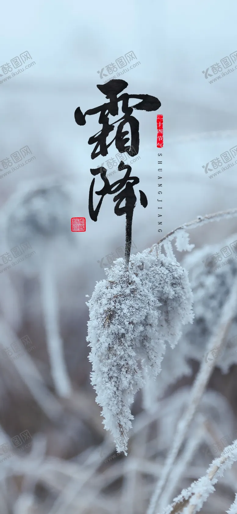 编号：53189504212328272568【酷图网】源文件下载-手机壁纸