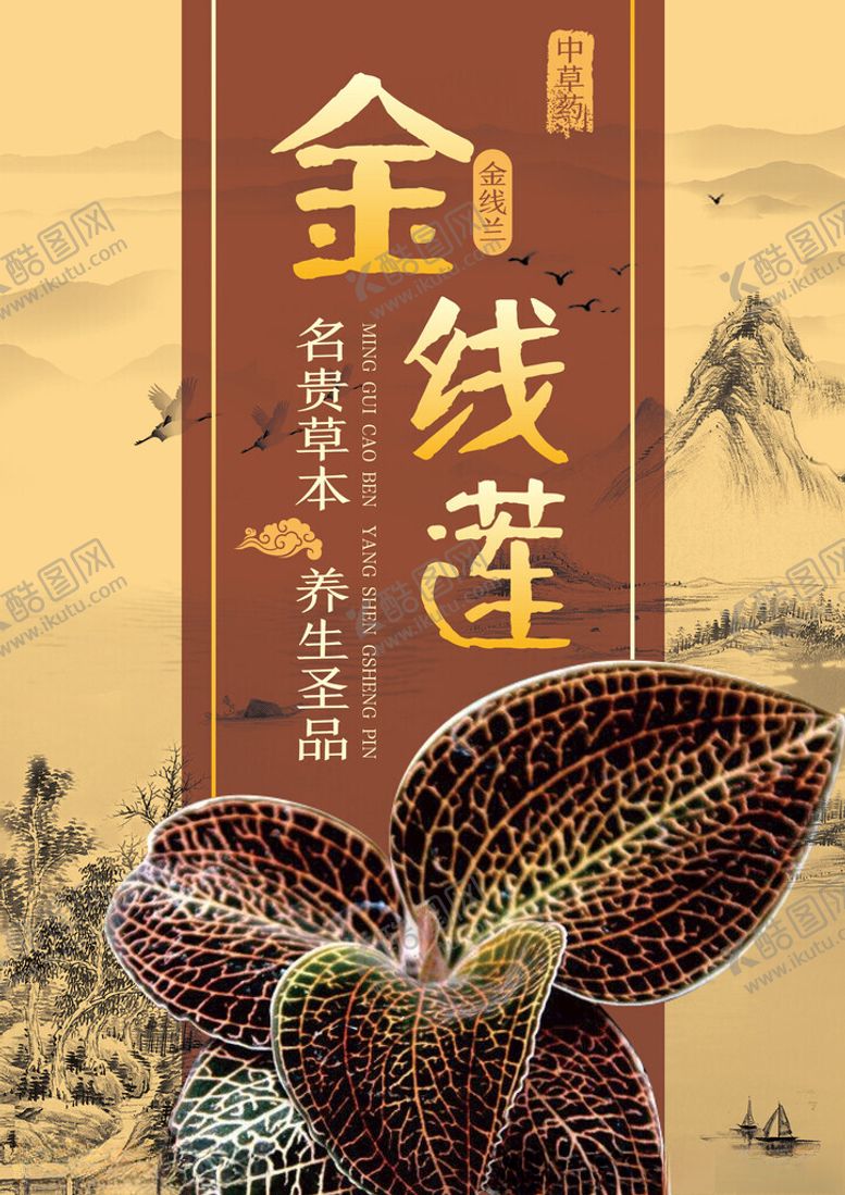编号：21690501271413178242【酷图网】源文件下载-金线莲