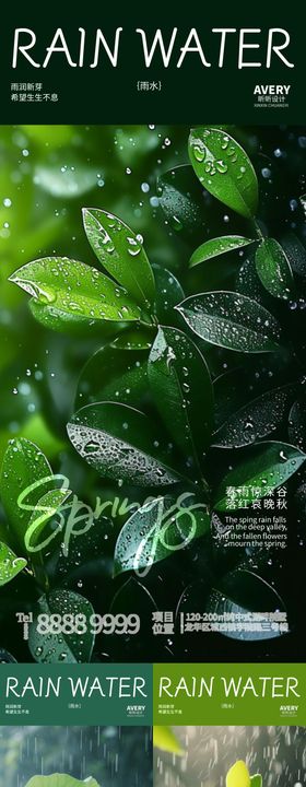 雨水节气系列海报