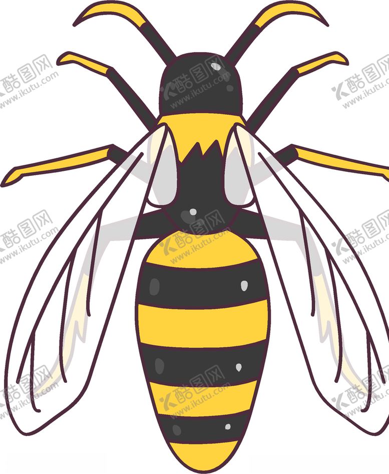 编号：58528909171929293557【酷图网】源文件下载-蜜蜂