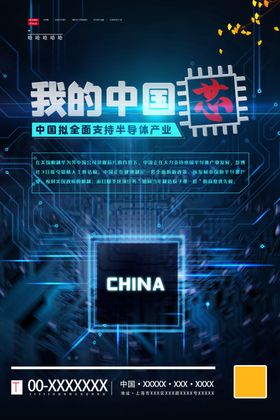 中国芯片