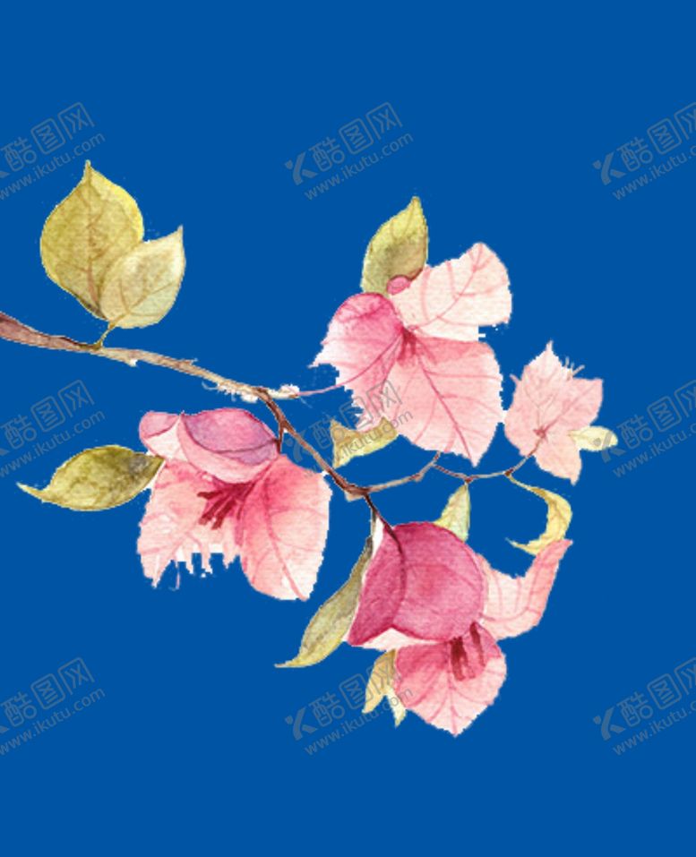 编号：61231209272139198121【酷图网】源文件下载-桃花